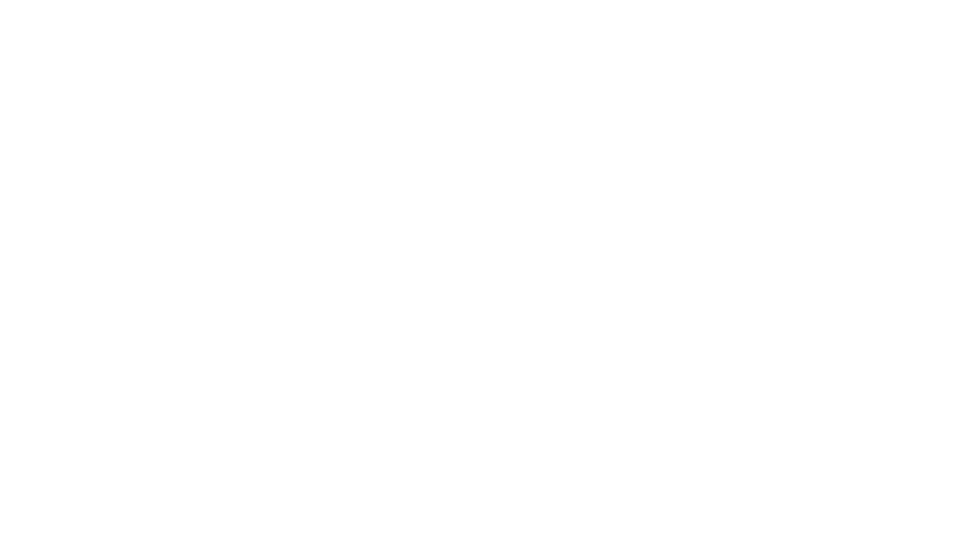 Dischem Logo White