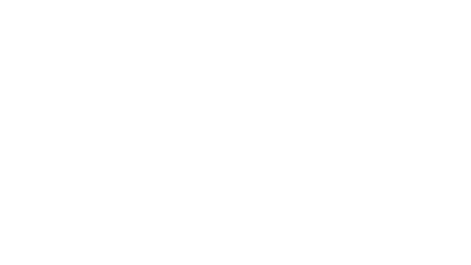 Hush Puppies Logo White