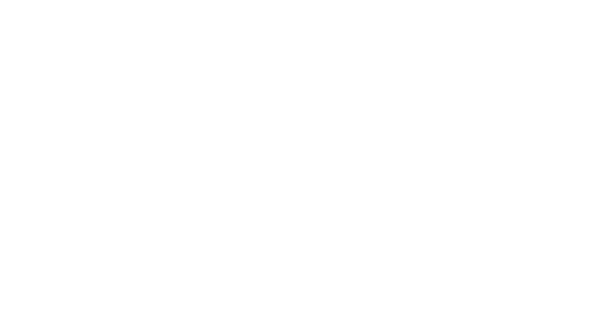 Pick n Pay Logo White