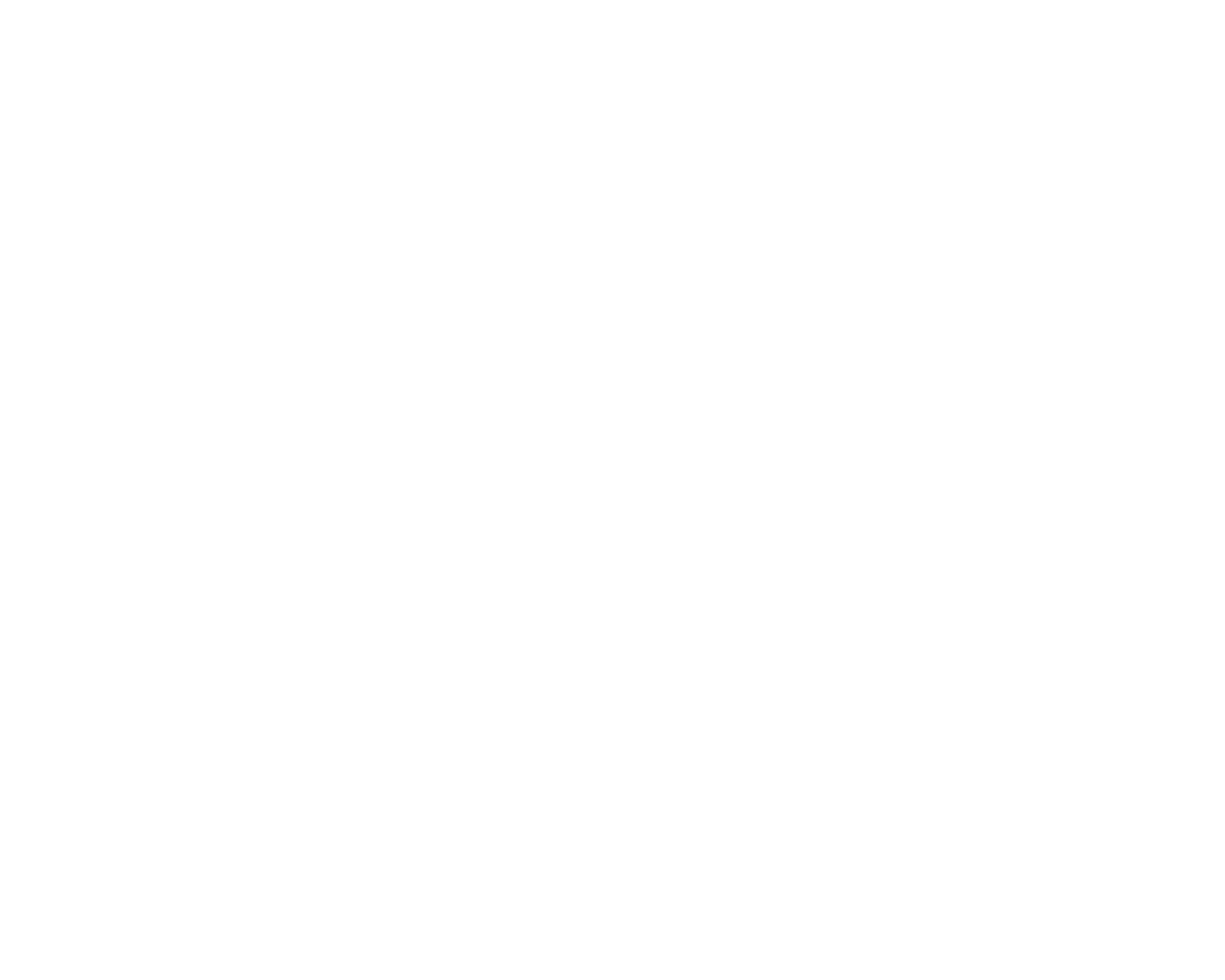 The Courier Guy Logo White