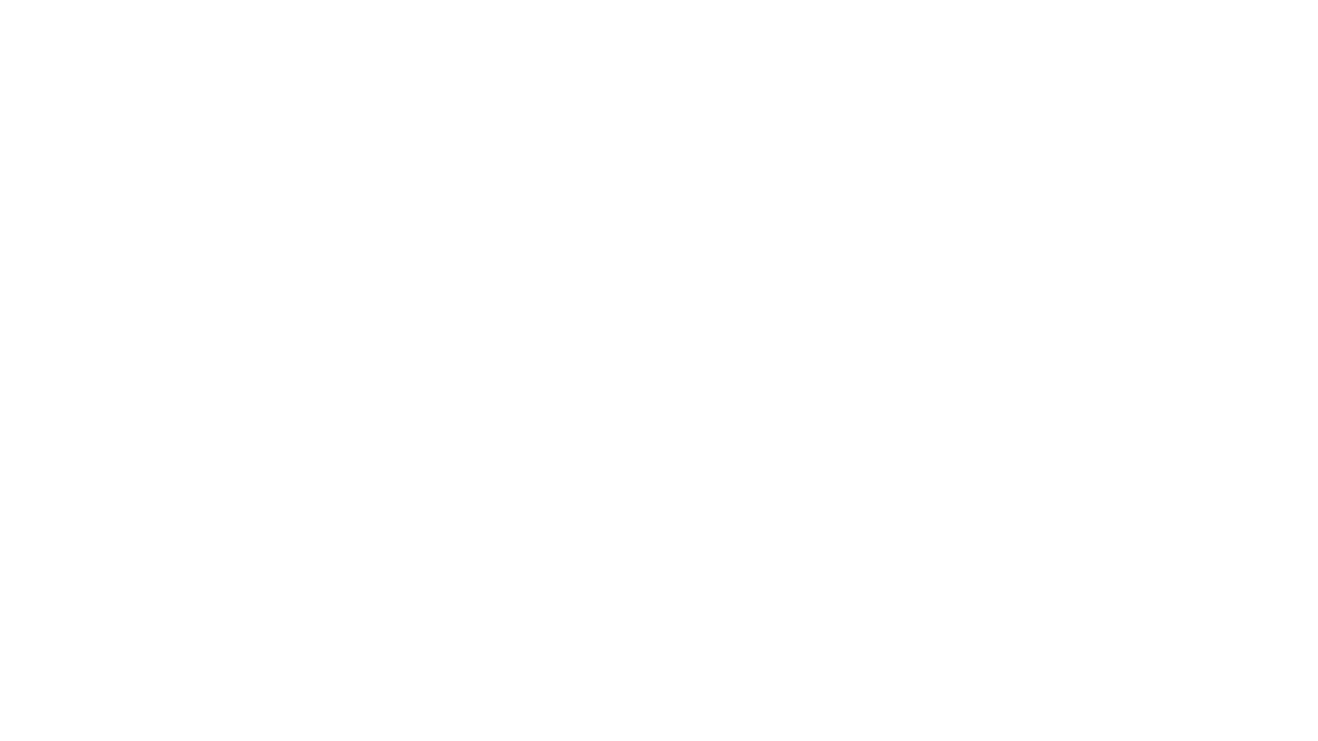 The Crazy Store Logo White