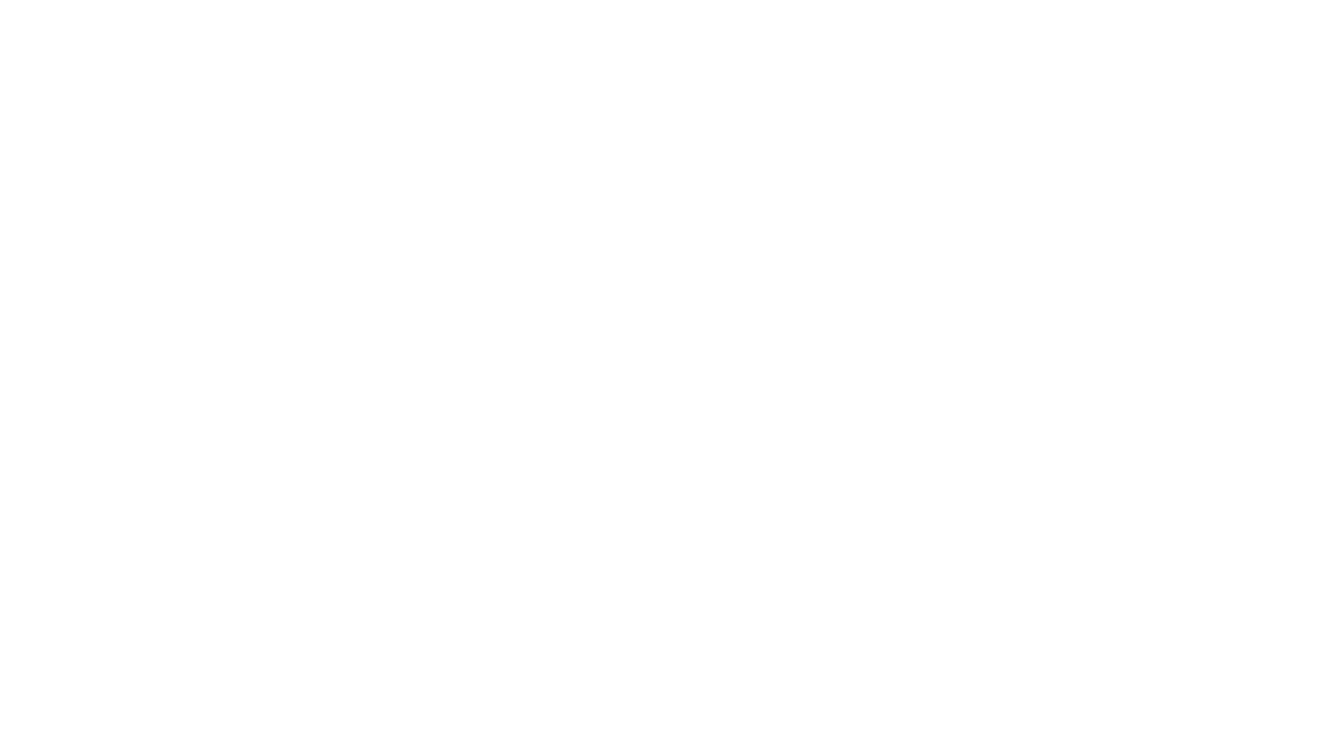 Toys R Us Logo White